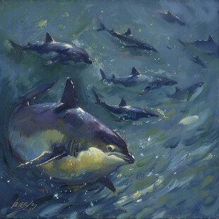 海豚装饰画