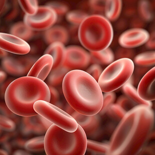 聚集的红细胞