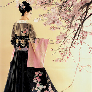 宫廷美女仕女图杏花
