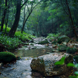 梅峰山地公园的溪流