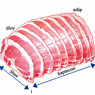 矢量猪肉分部图