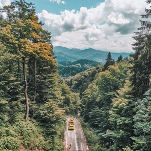 山林树木道路交通