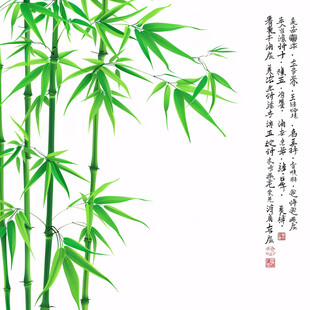 翠竹图片翠竹白墙