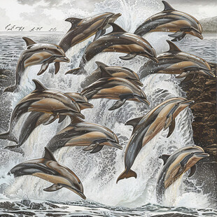 海豚装饰画