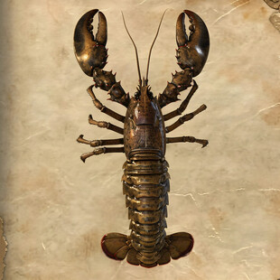 卡通小龙虾写实海鲜