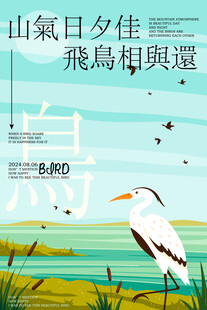 鸟类
