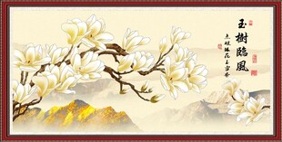 玉兰花