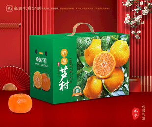 芦柑包装 椪柑礼盒