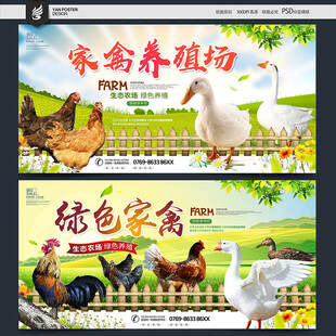 家禽