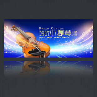 小提琴演奏会