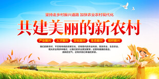 共建美丽新农村