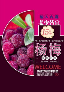 杨梅