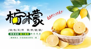 柠檬海报