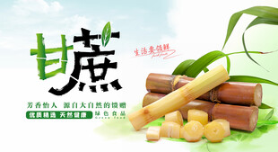 甘蔗海报