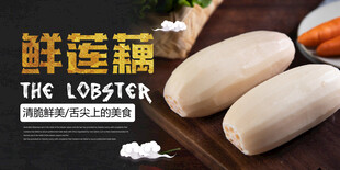 鲜莲藕海报