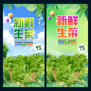 生菜