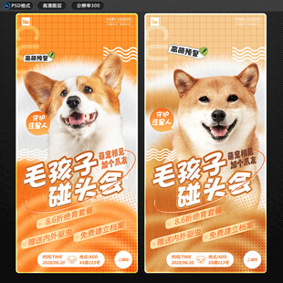 毛孩子碰头会