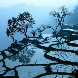 雾色梯田