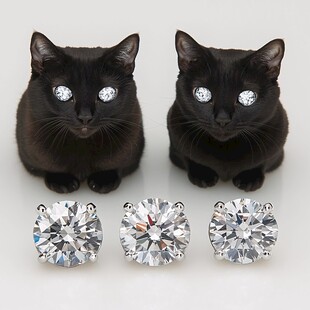 人类的朋友钻石