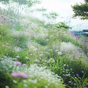 花境观赏草