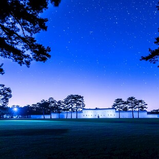 夜晚的球场