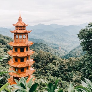 仙湖植物园本焕塔