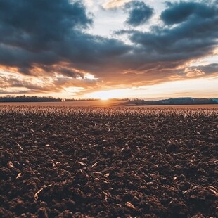 耕地田地夕阳