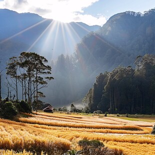 光芒照大地