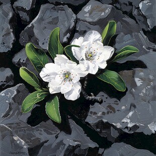 3d立体花卉油画