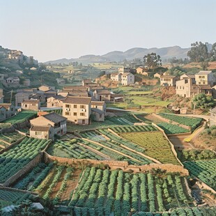 闽南田野