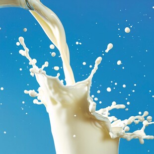 动感牛奶