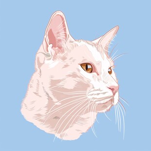 宠物猫插画