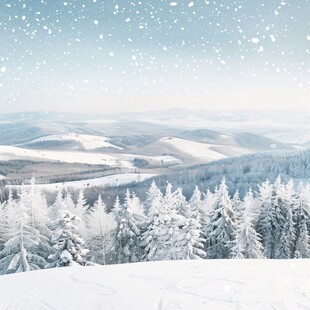 冬季远山森林积雪