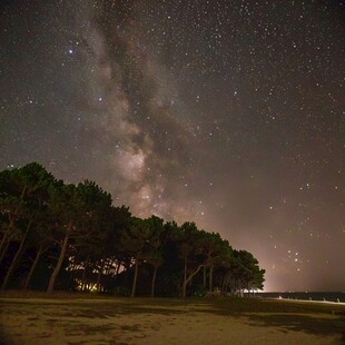 夜间生态来间岛