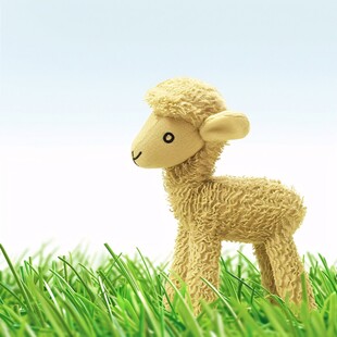 小羊图片