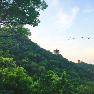 远眺香山