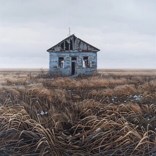 芦苇荡中的老房子