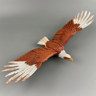 老鹰标本模型