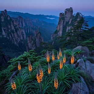 金色三清山