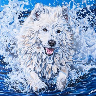 原创插画萨摩耶