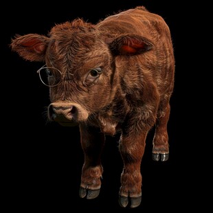 写实牛