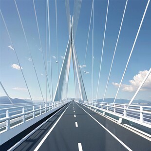 大跨度桥面