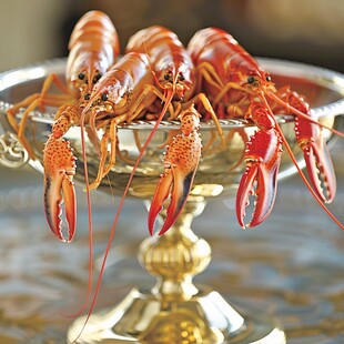 写实小龙虾手绘