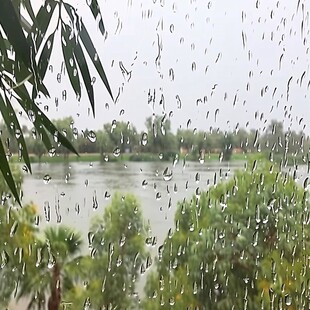 湿地公园雨景