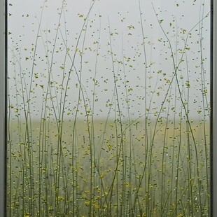 雨水窗户风景