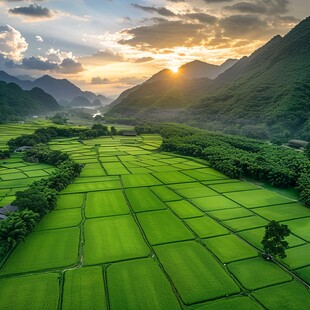 夕阳下的山区农田