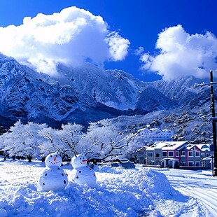 高山晴雪