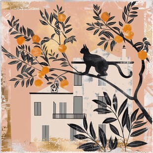 石榴树与老建筑