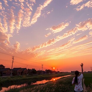 夕照陈集