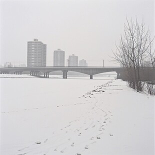 汾河雪景